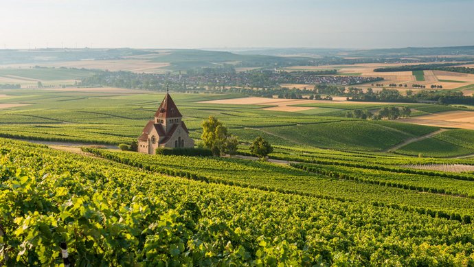 Vignobles et chapelle de la Croix près de Gau-Bickelheim