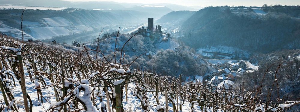 Snowy castle in a winter landscape